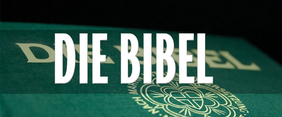 BibleFace Teaser